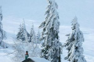 planche-des-belles-filles 2.jpg