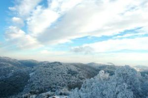 planche-des-belles-filles 3.jpg